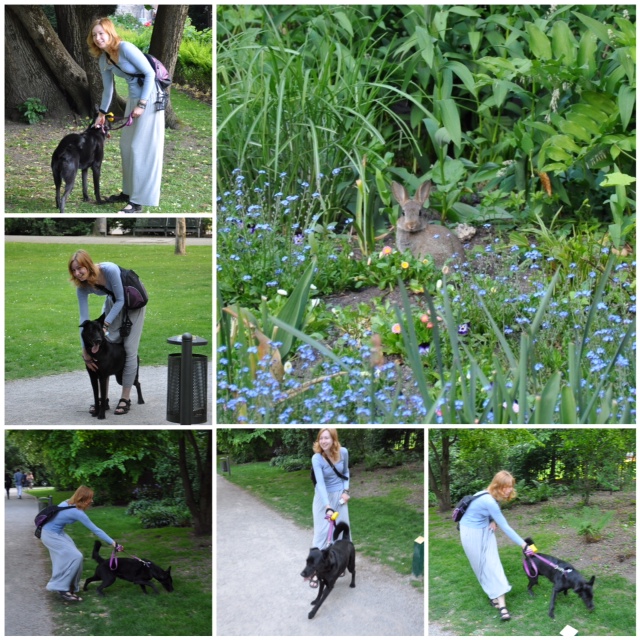 В Мюнхене с собакой