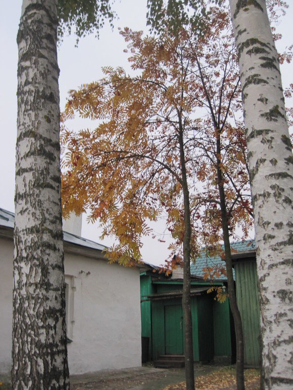 Воскресное утро