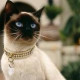 Виктория Клюева