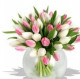 Evgenia