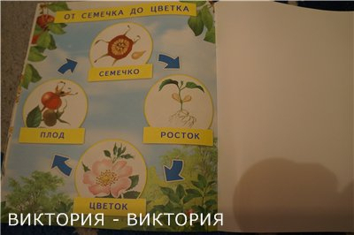 675903913ef0f00ebde029f8ab5b72b2.jpg