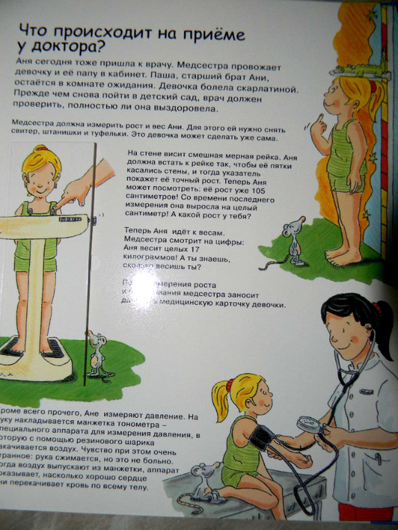 анатомия