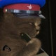 Денис Волков