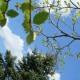 Люба