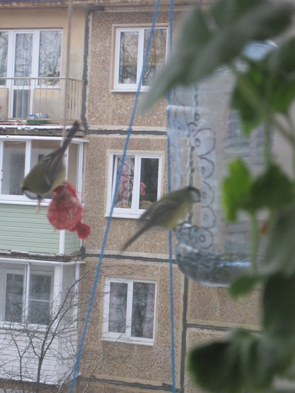 Небо над головой