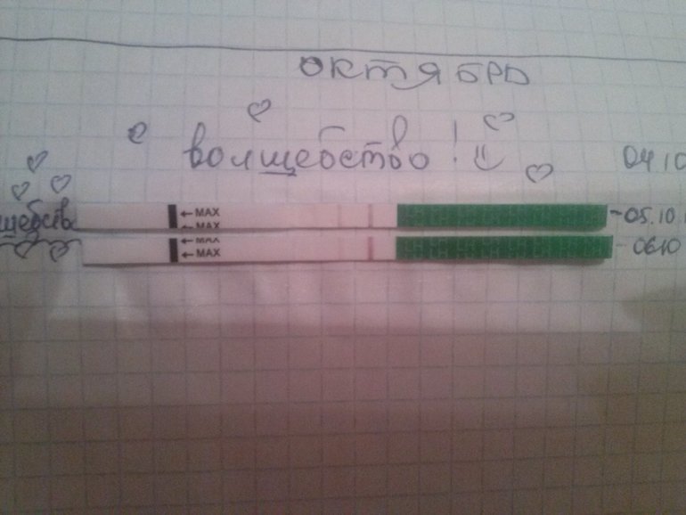 овуля