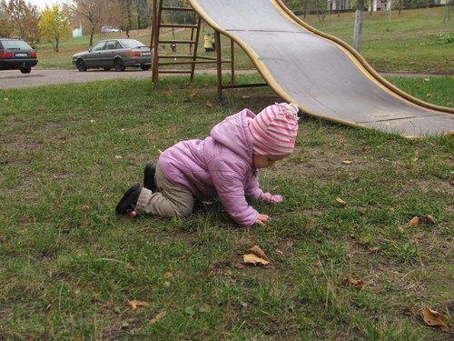 ee352deff36783295795099df18218c6.jpg