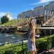 Елизавета Волкова