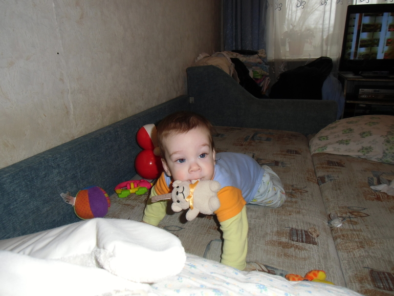 7 месяцев