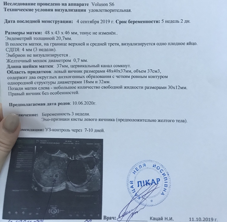 Результаты узи... помогите понять ???? — 31 ответов | форум Babyblog