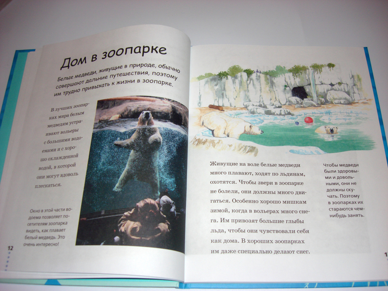 Первый снег...