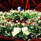 Марина Полуянова