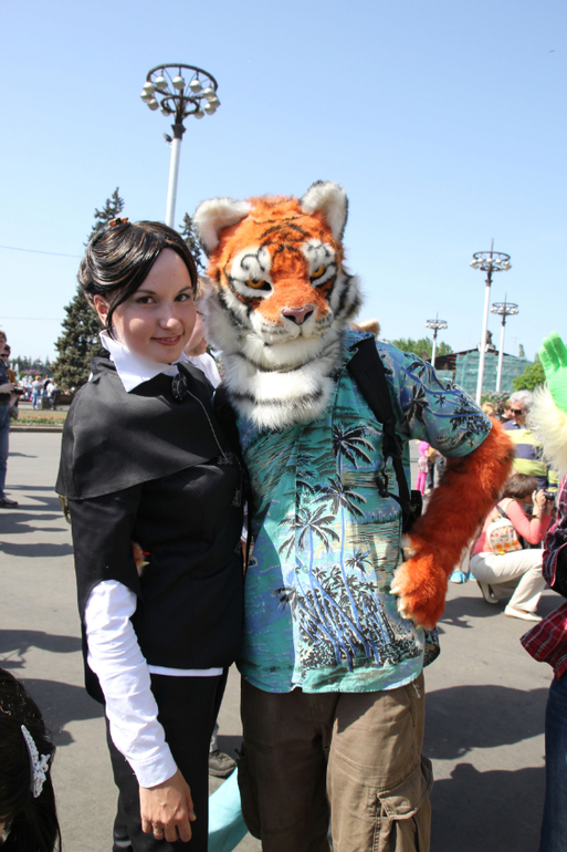 Dreamflash 2014