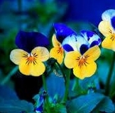 Обмен Подушками запись до 30 апреля.
