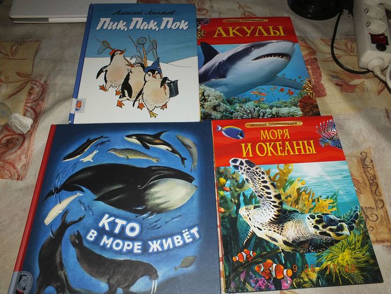 ТЗ по книге Дж.Дональдсон "Улитка и Кит"