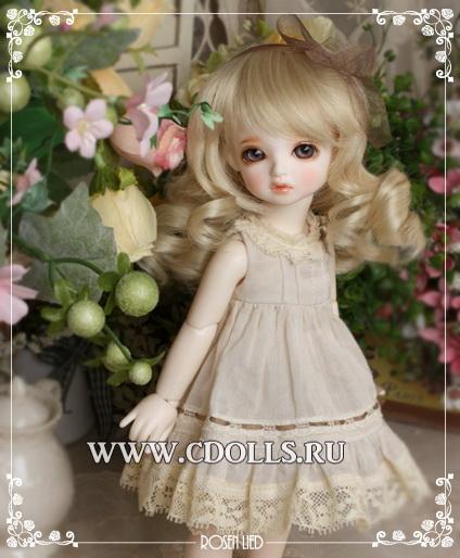 Куклы  BJD