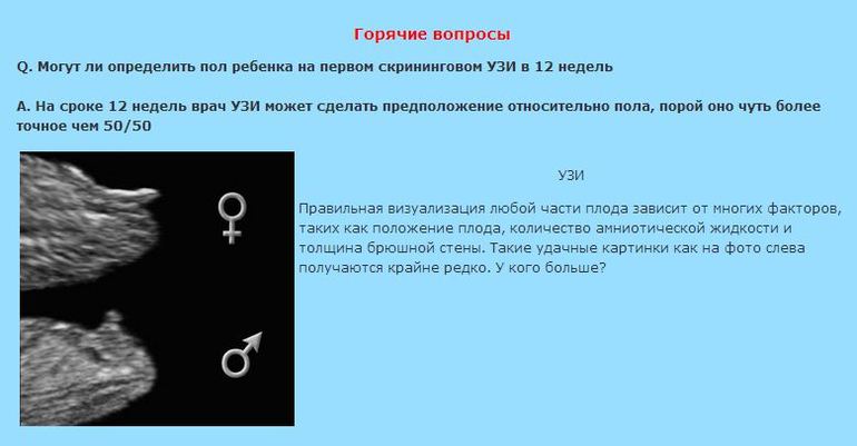 раннее определение пола