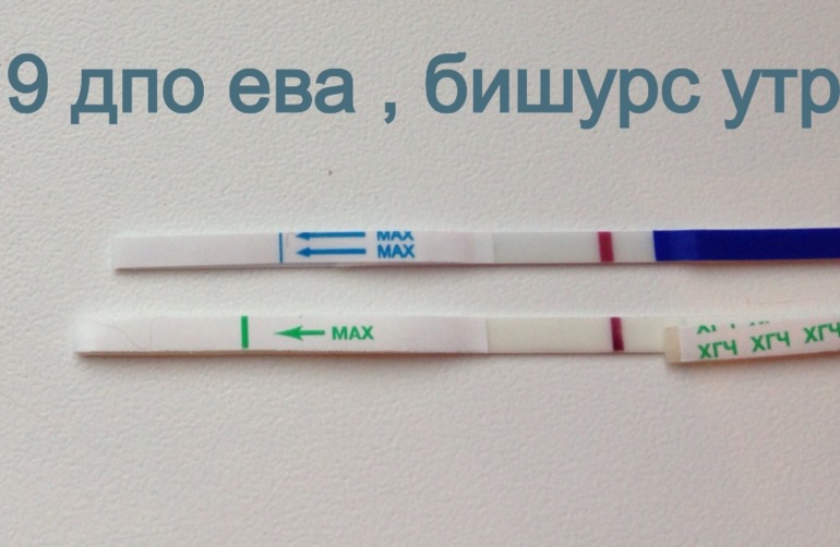 9 дпо тесты утро .