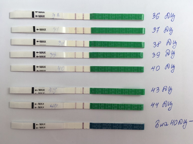 Как выглядит тест на овуляцию положительный фото форум
