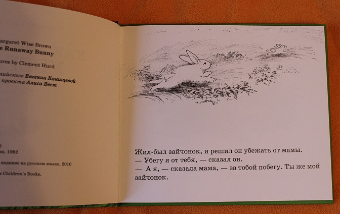 Наши любимые засыпательные книги ("успокоительные")