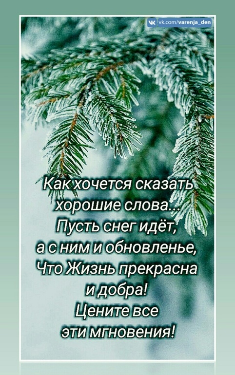 Лавка чудес цитаты