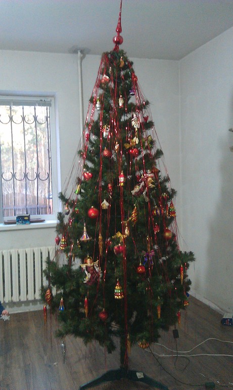 Елочка.