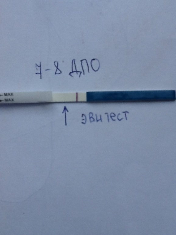 Тест эви )))что скажите