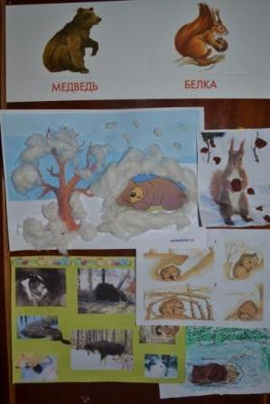 ТН