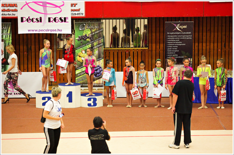 V. Pécs Cup 2013