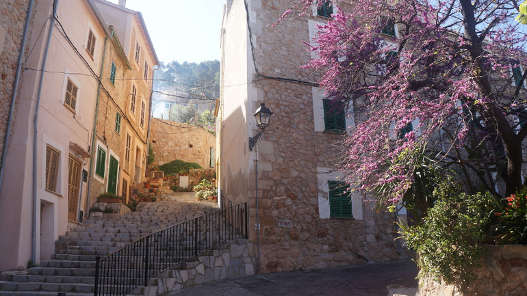 ТРАНСФЕР в Испании (Майорка/ MALLORCA)