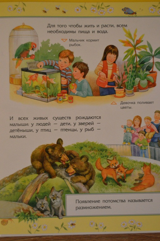 c90f54fc398efbdffcdcaee6338285ed.jpg