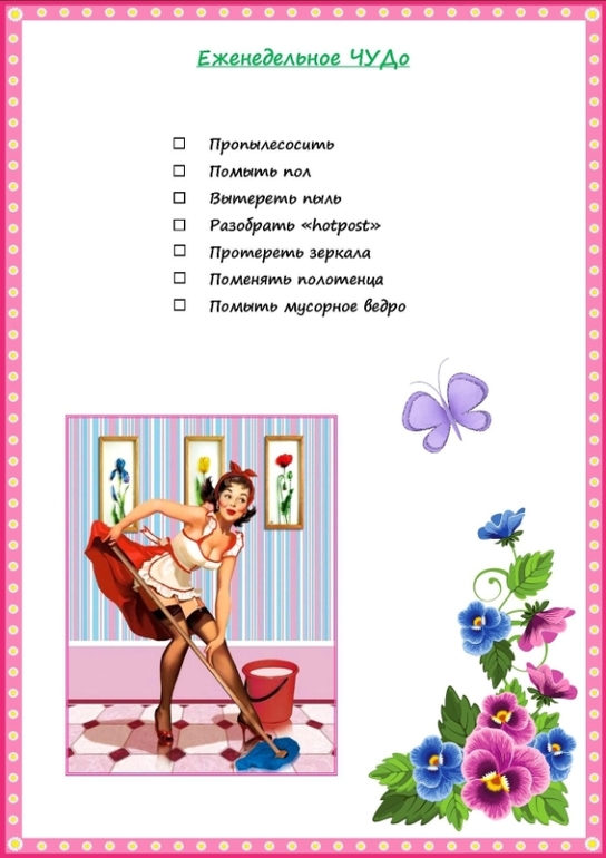 Cистема Fly