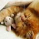 Кристина_Zzz