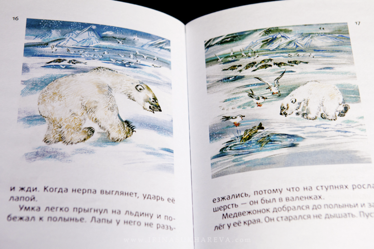 Зимние книги, которые живут в нашем доме.