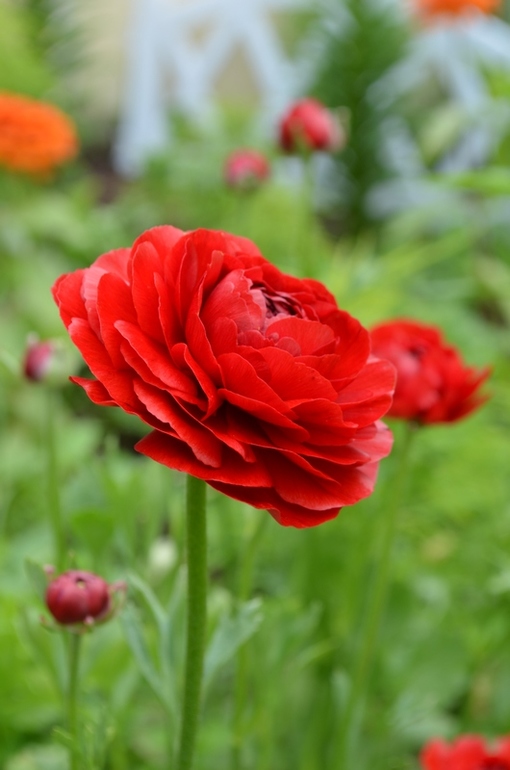 bb9bf195b9e8d0adbda09ebcbc841237.jpg