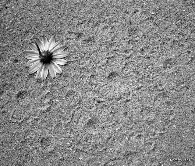 Land Art