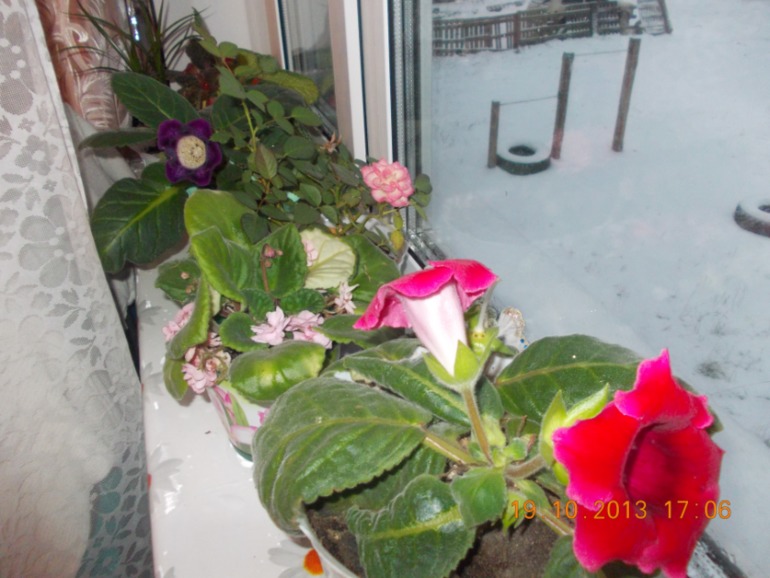 6c605f986ff7bcc1a748c9fdded1047a.jpg