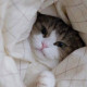 Кристиночка