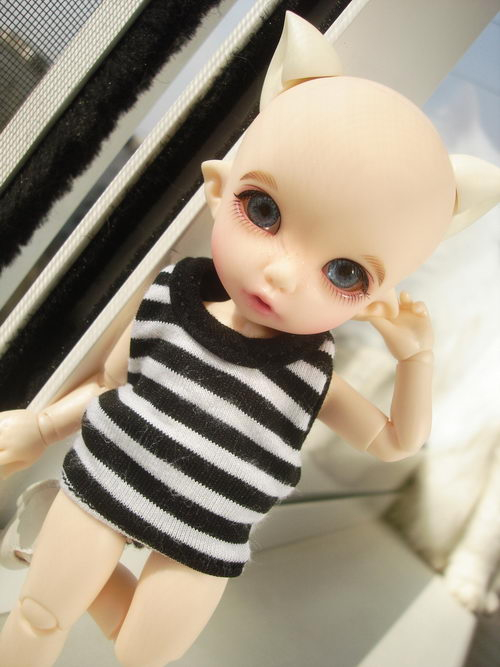 Куклы  BJD