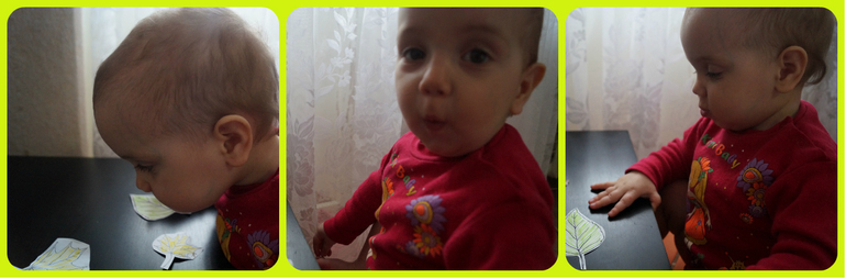 cb6a21d4093acaf7f23f3b433a262feb.jpg