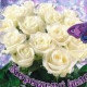 Фаина Любушкина