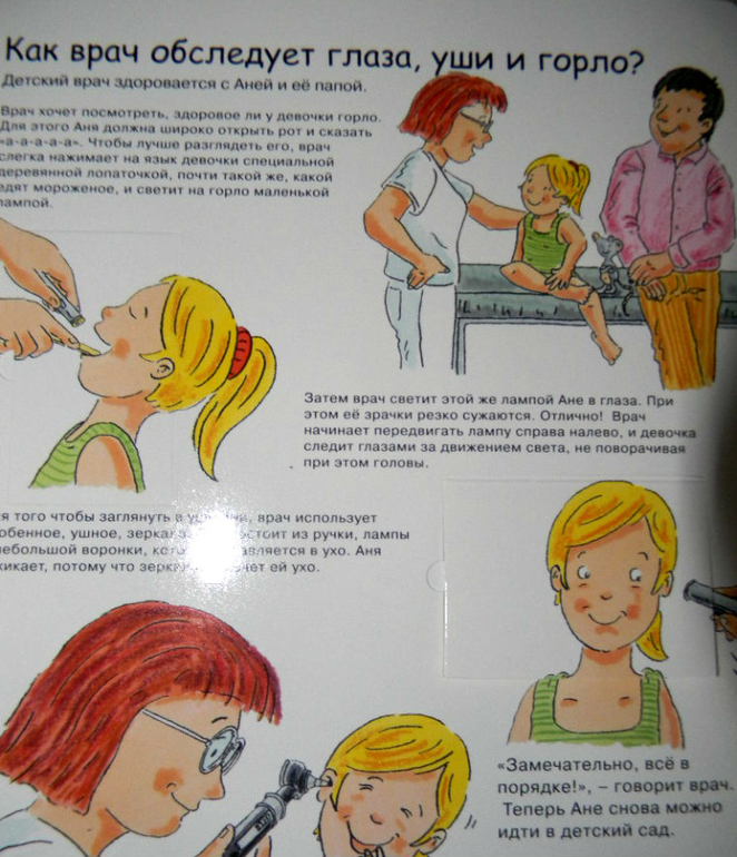 Анатомия для детей, обзор покупок. — 17 ответов | форум Babyblog