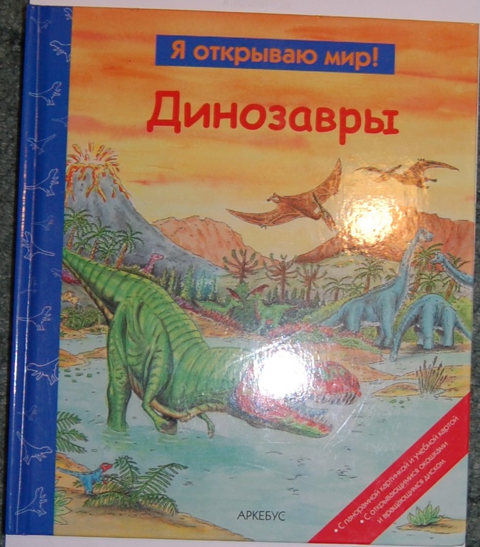 Эволюция и этапы жизни.