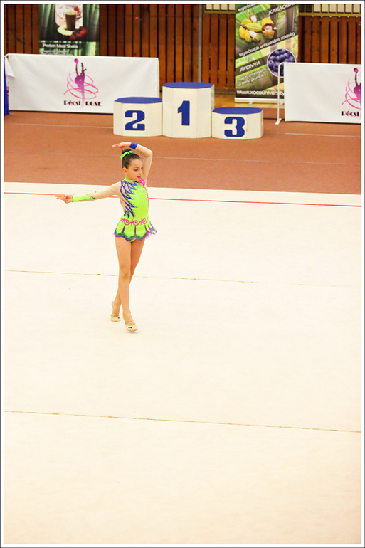 V. Pécs Cup 2013