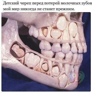Клумбы.