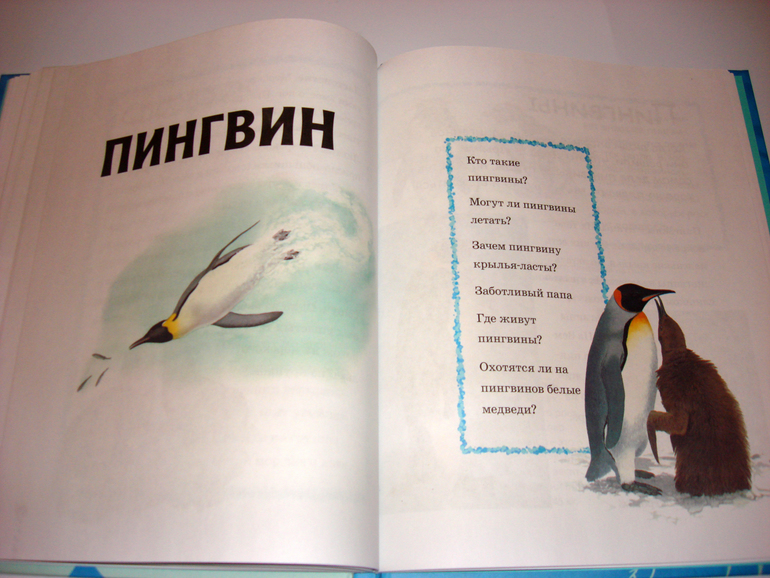 Первый снег...