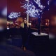 Катерина Кольцова