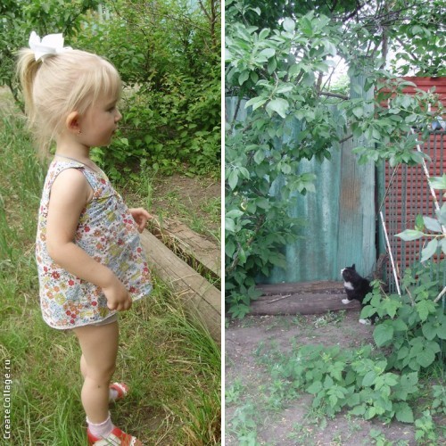 Зелёный день у бабули...