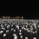 Амина Курбанова