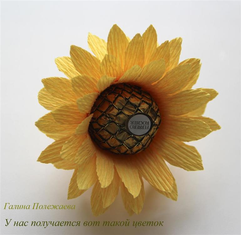 МК подсолнух — 6 ответов | форум Babyblog